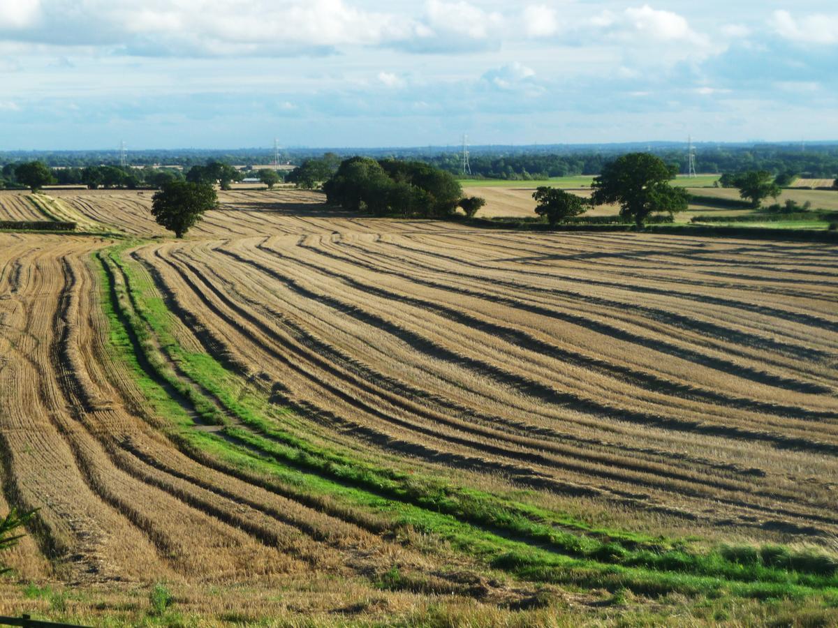 Hazelwood Farm